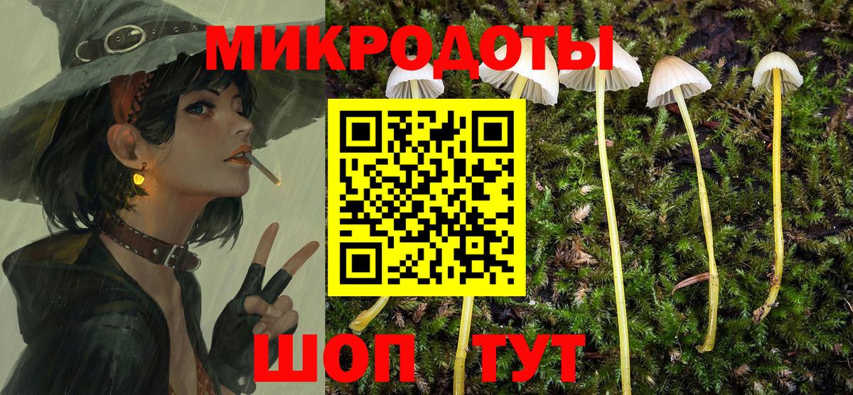 Курган  Псилоцибиновые грибы мухоморы  Вход с VPN  Псилоцибиновые грибы Cubensis 
